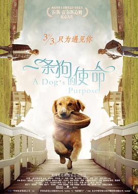 91精品网